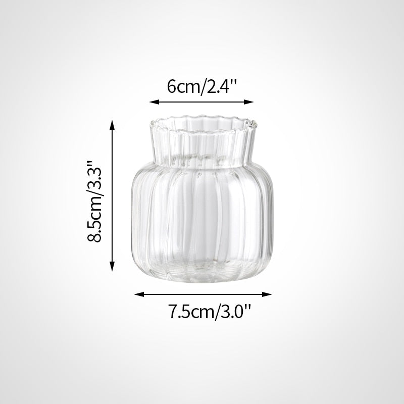 Transparent Glass Vase