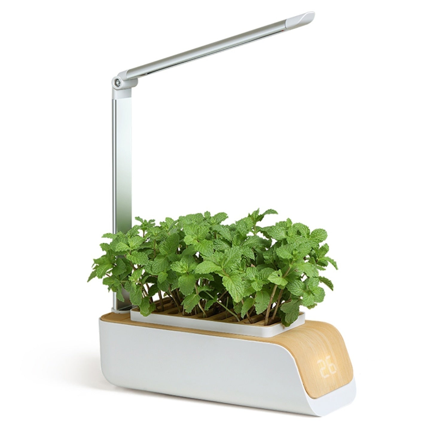 Indoor Garden Planter Grower