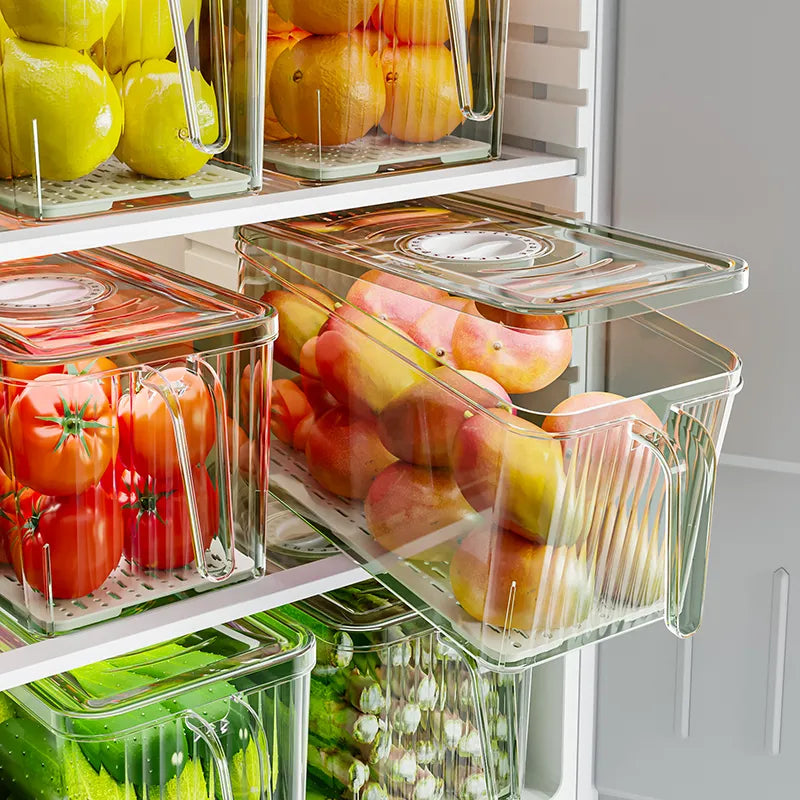 Refrigerator Storage Box Food