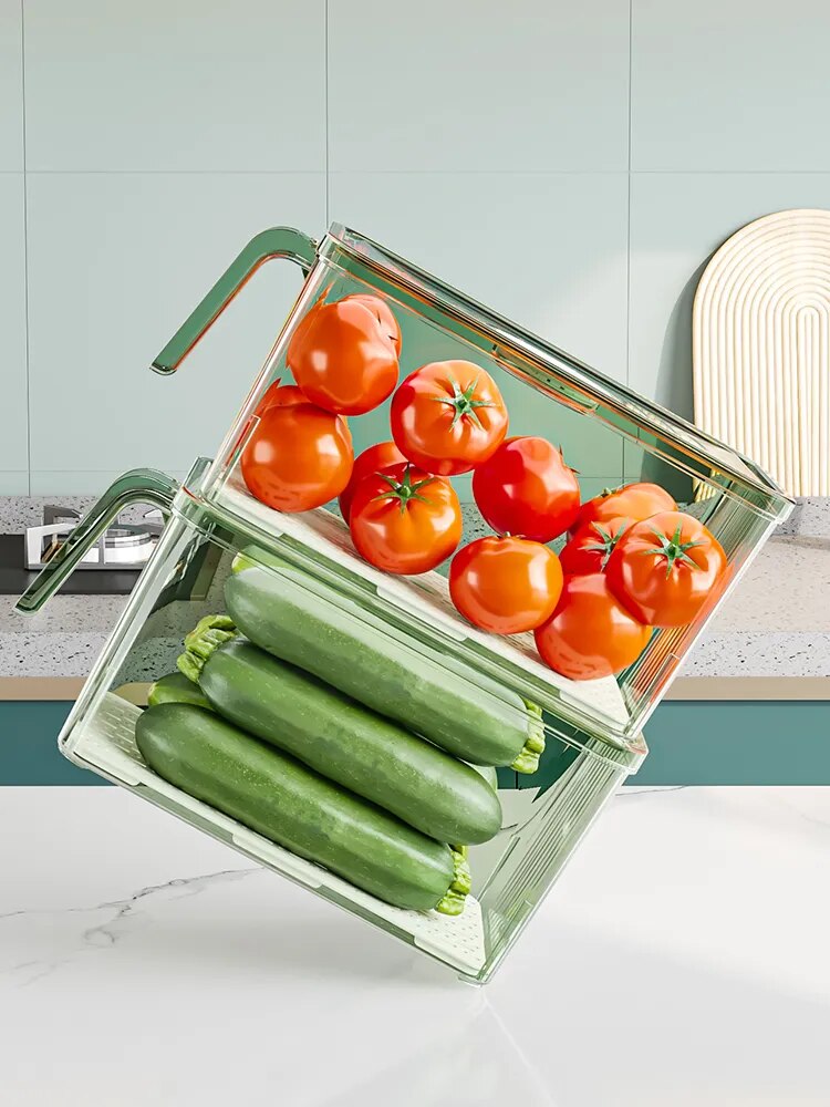 Refrigerator Storage Box Food