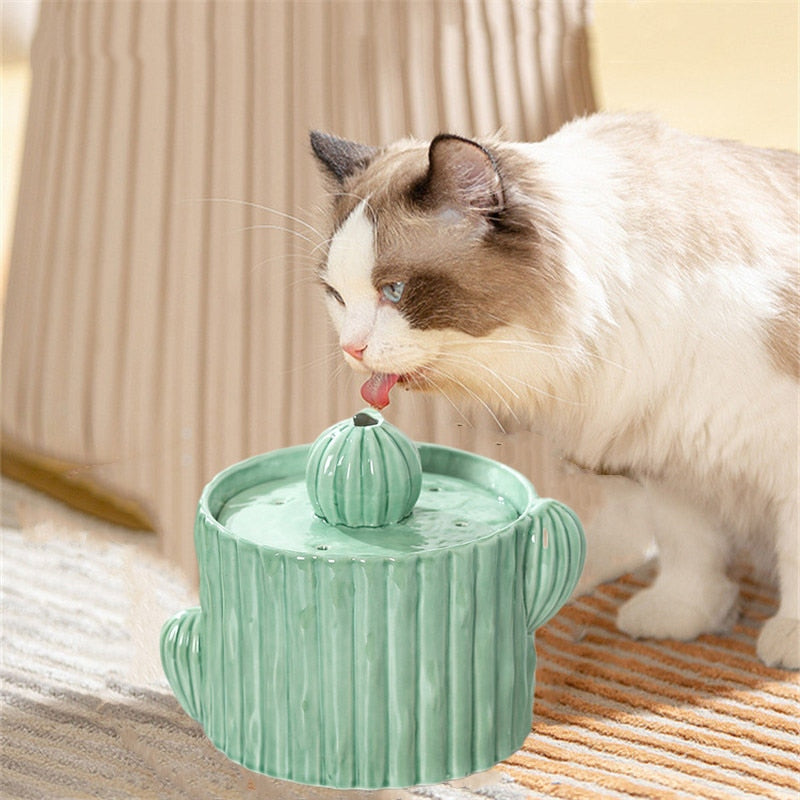 2L USB Multifunction Ceramic Cactus Cats Drinke