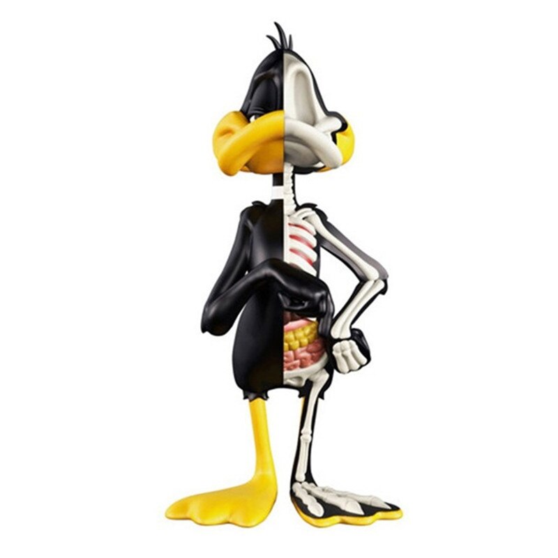 Art Dissection Duck Figure