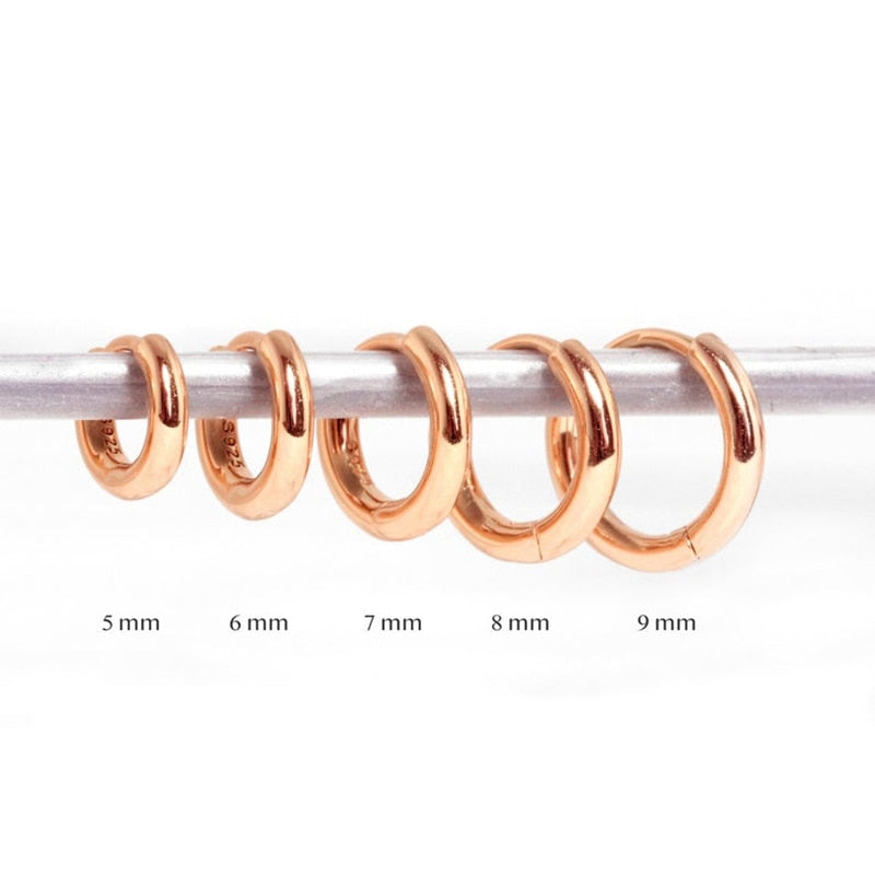 Rose Gold Small Hoop Earrings