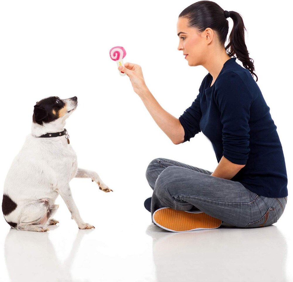 Chew Play Toys Cute