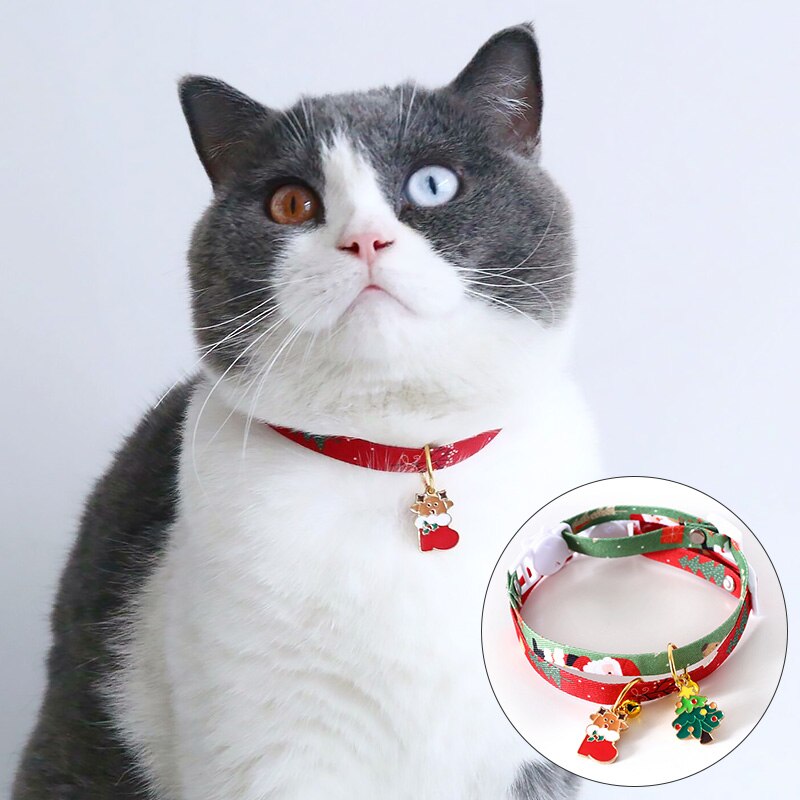 Christmas Pet Collar