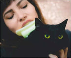 Cat Licking Brush