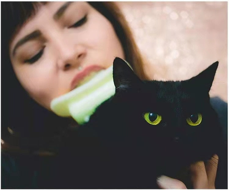 Cat Licking Brush