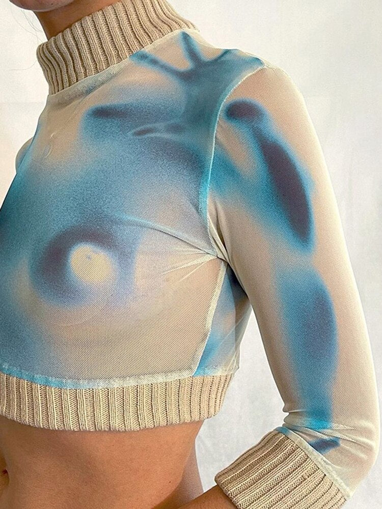 Mesh Long Sleeve Crop Top
