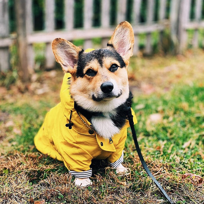 Pet Waterproof Raincoat