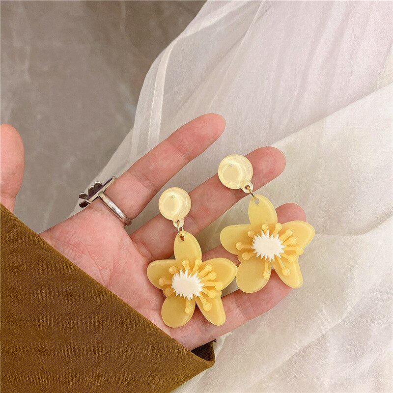 Transparent Acrylic Drop Earrings