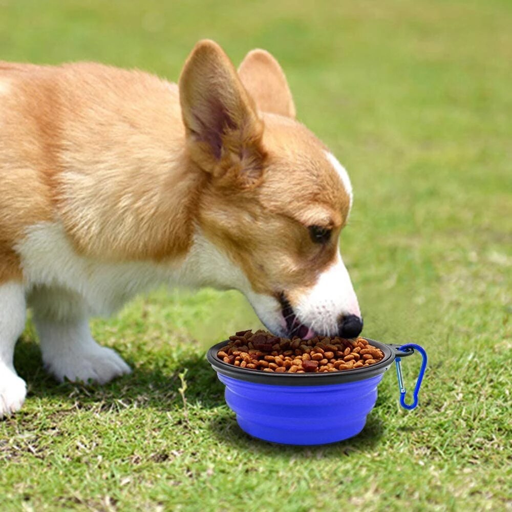 Foldable Dog's Cat's Food/Water Bowl