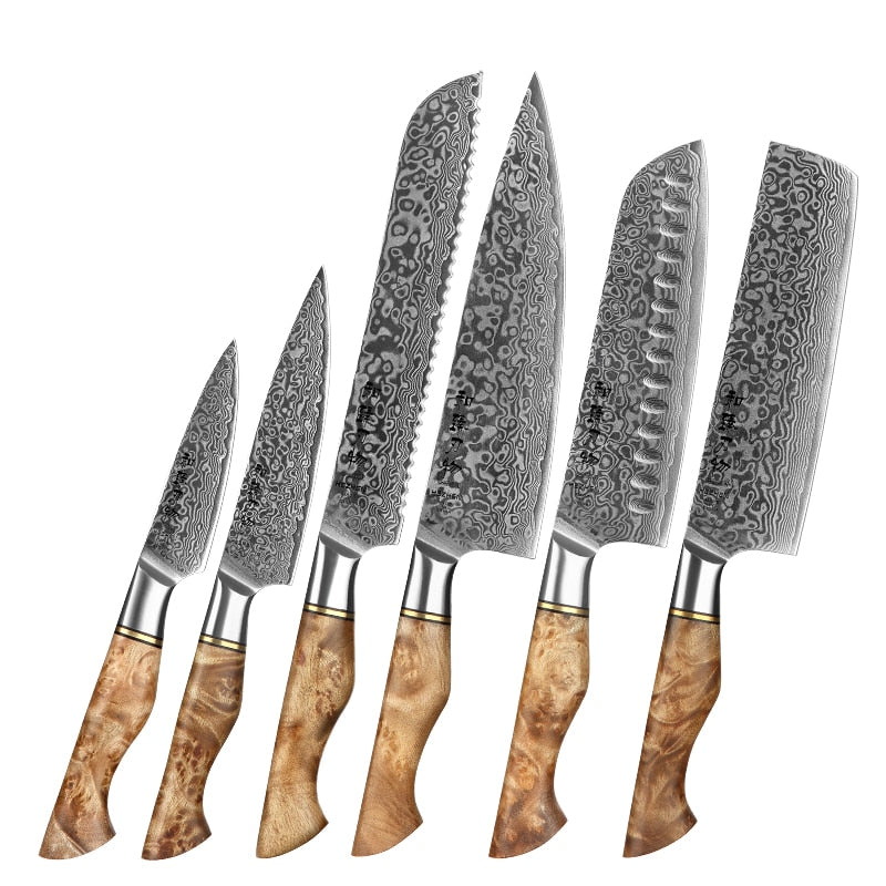 Kitchen Damascus Steel Knife Set