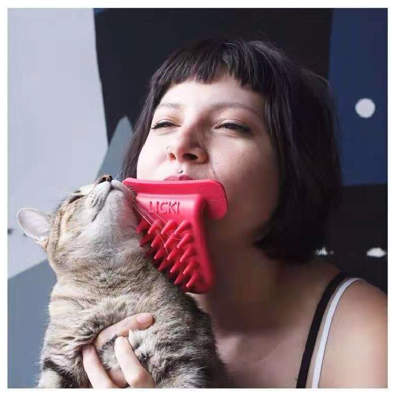 Cat Licking Brush
