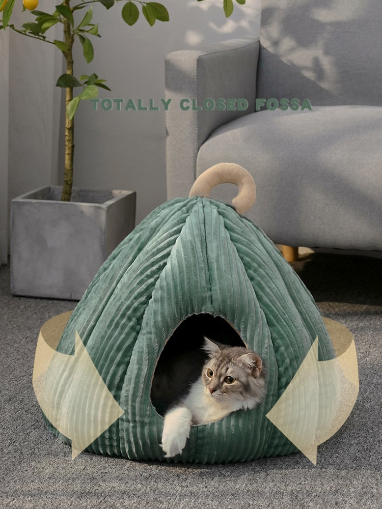 Pumpking Shaped Bed Pet