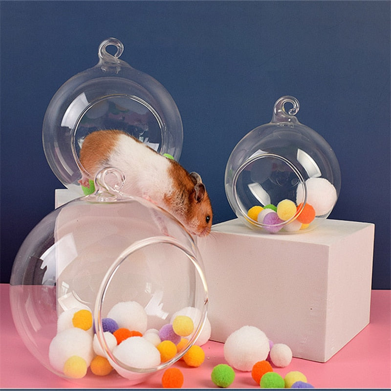 New Glass Hamster Nest