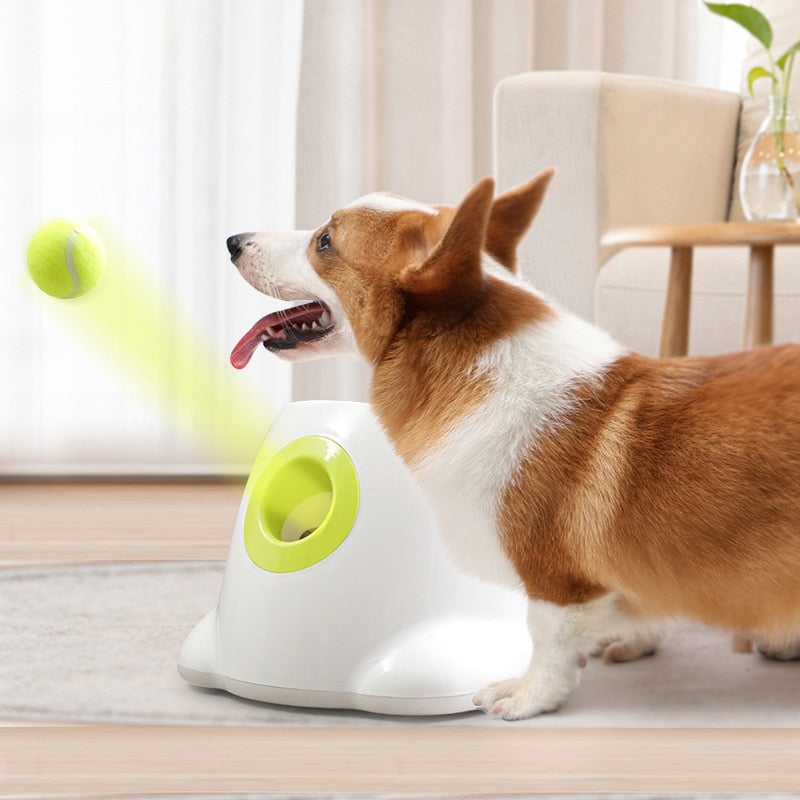 Tennis Launcher Throwing Machine