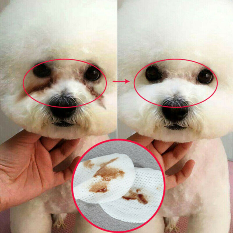 130PCS/Set Pet Eye Wet Wipes
