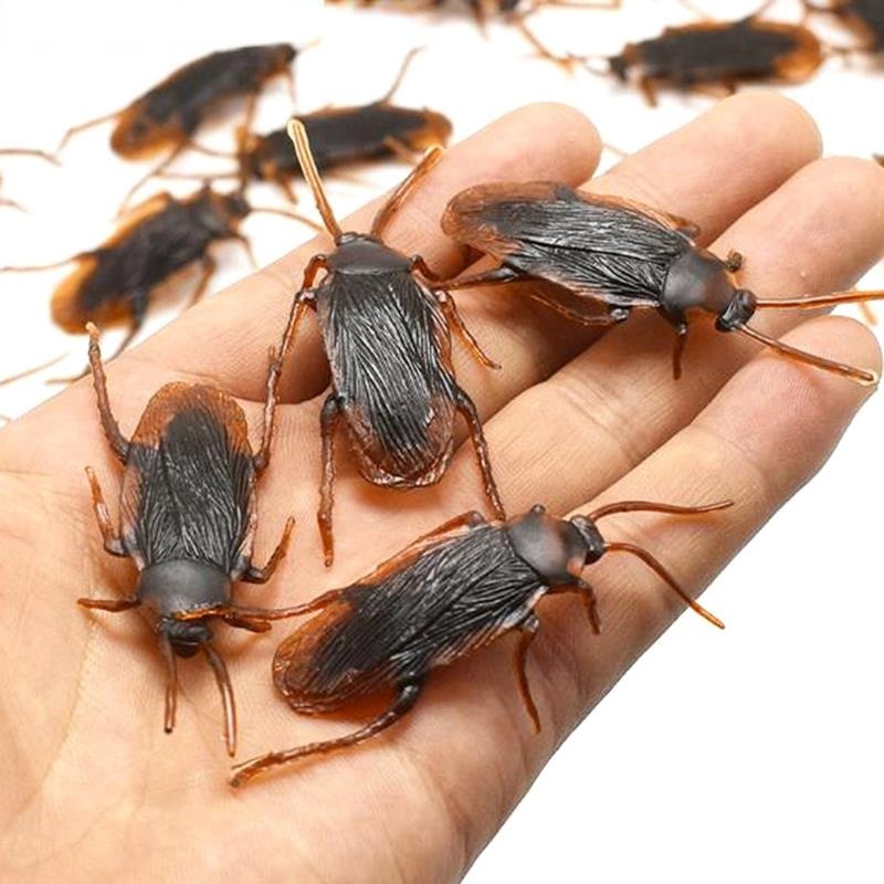 Life-like  Roach