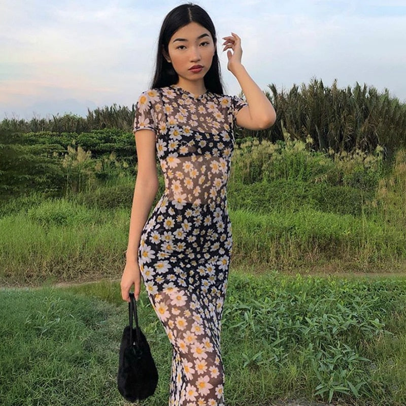 Sunflower Dress Mesh Transparent Maxi Dress