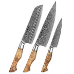 Kitchen Damascus Steel Knife Set