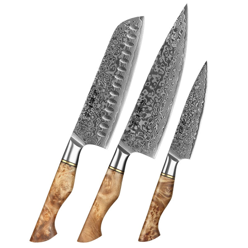 Kitchen Damascus Steel Knife Set