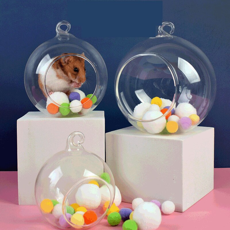 New Glass Hamster Nest