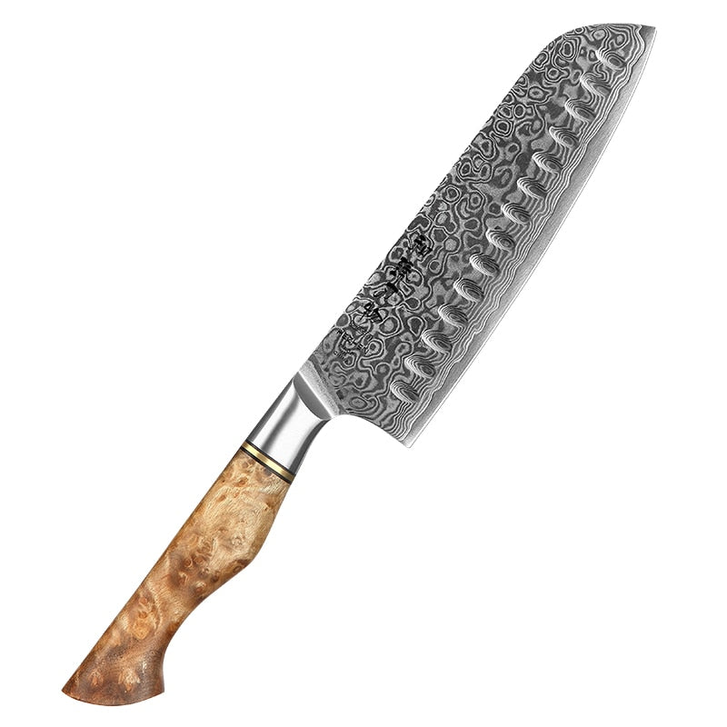 Kitchen Damascus Steel Knife Set