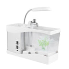 USB Desktop Mini Aquarium Fish Tank