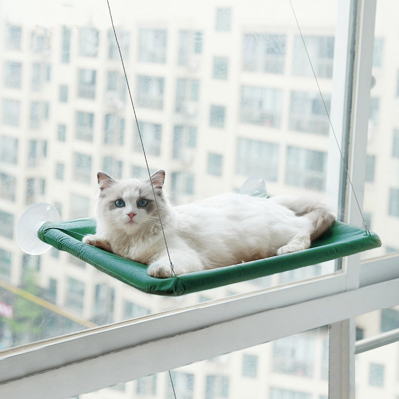 Cute Pet Hanging Beds