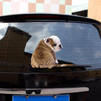 Dog Shake Tail Wiper Sticker