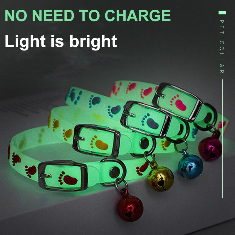 Glowing Collars With Bells