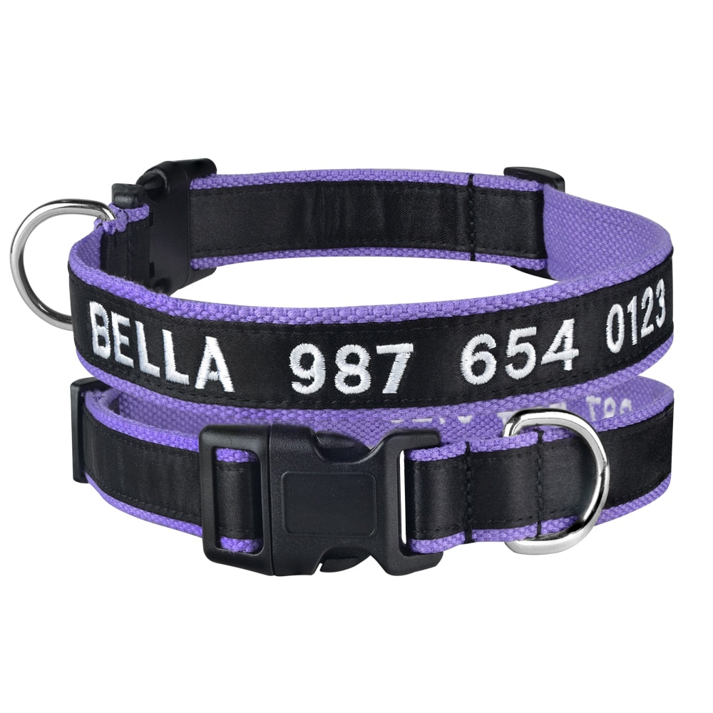 Adjustable Custom Nylon Dog Collar
