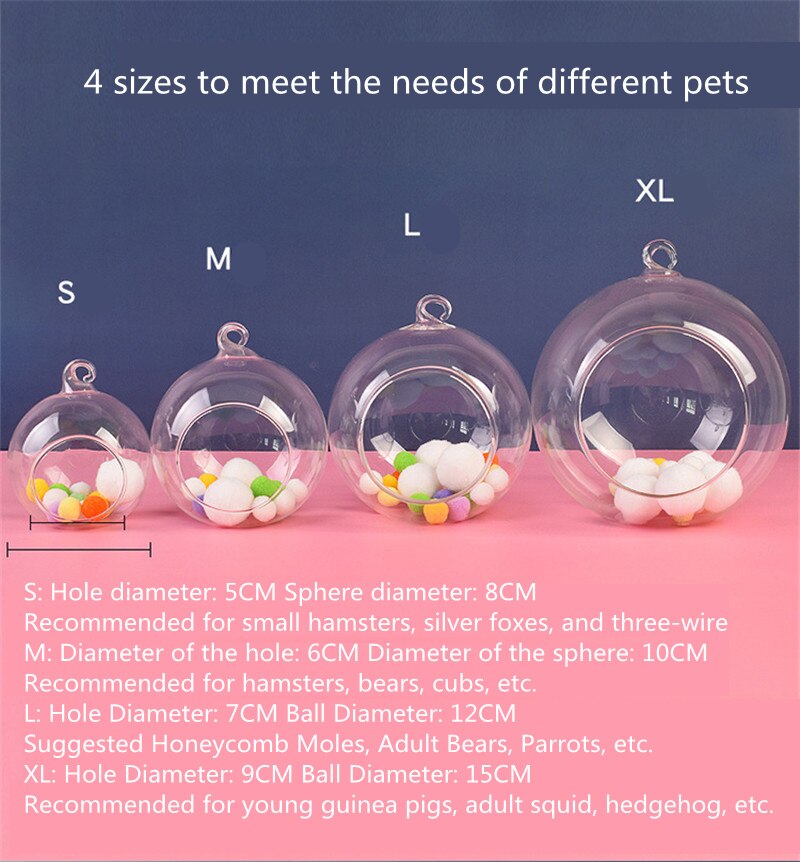 New Glass Hamster Nest