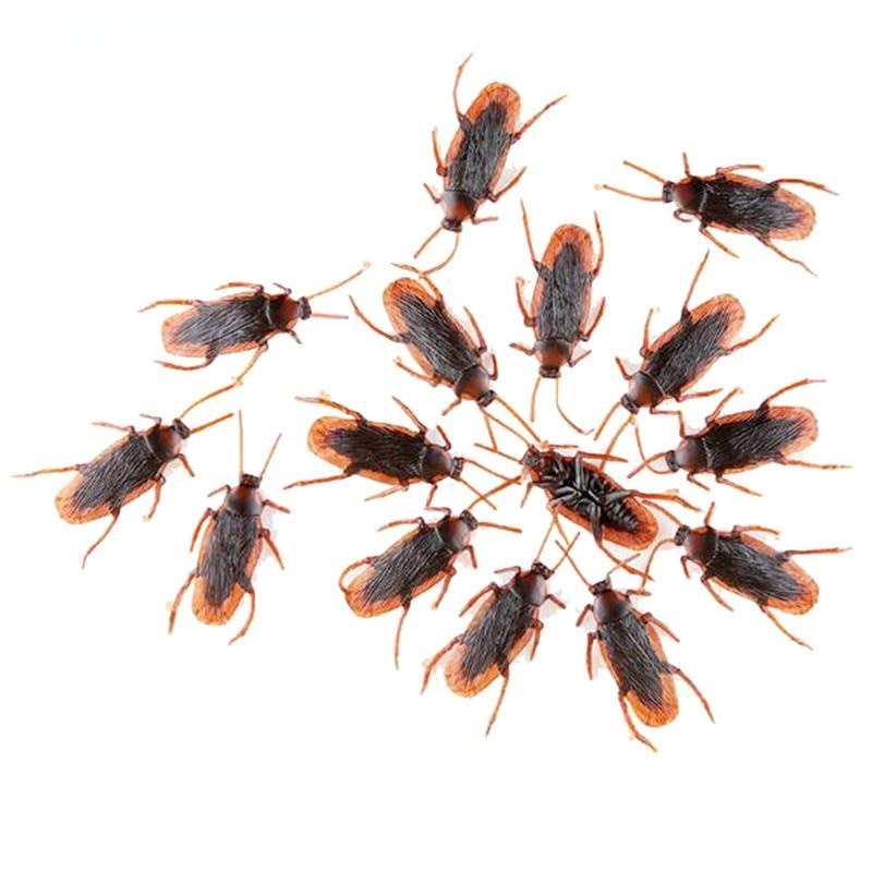Life-like  Roach