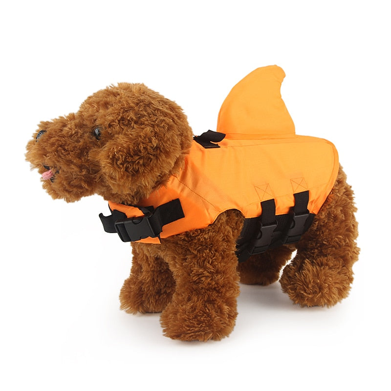Life Vest Summer Shark