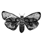 Moths Waterproof Temporary Tattoo
