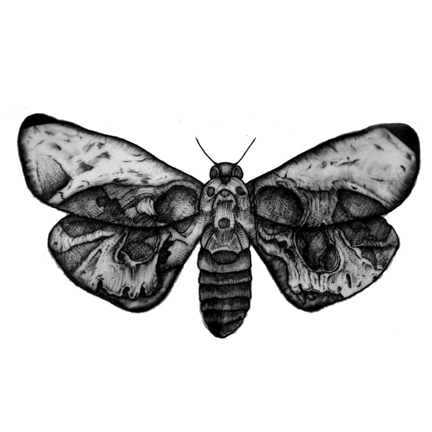Moths Waterproof Temporary Tattoo