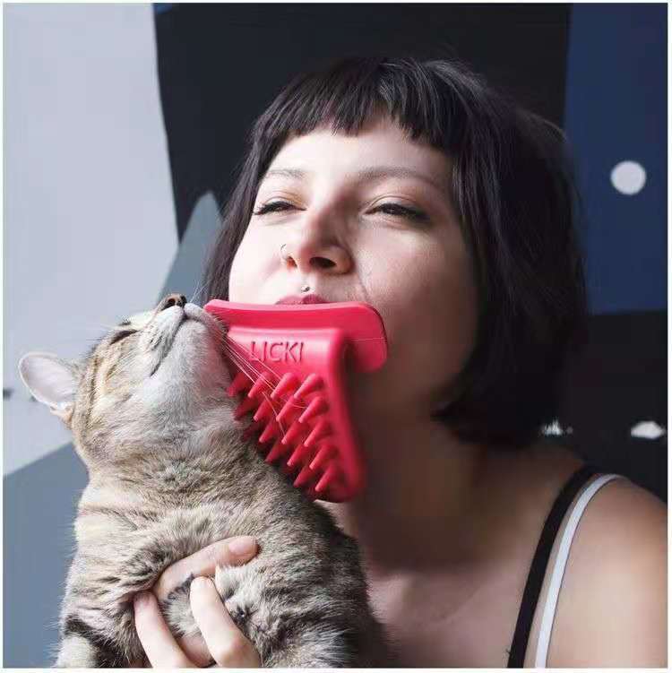 Cat Licking Brush