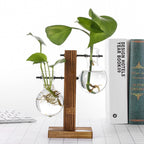 Glass and Wood Vase