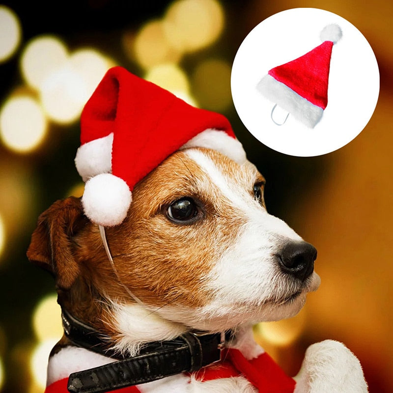 Christmas Plush Santa Hat