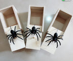 Spider Hidden in Case