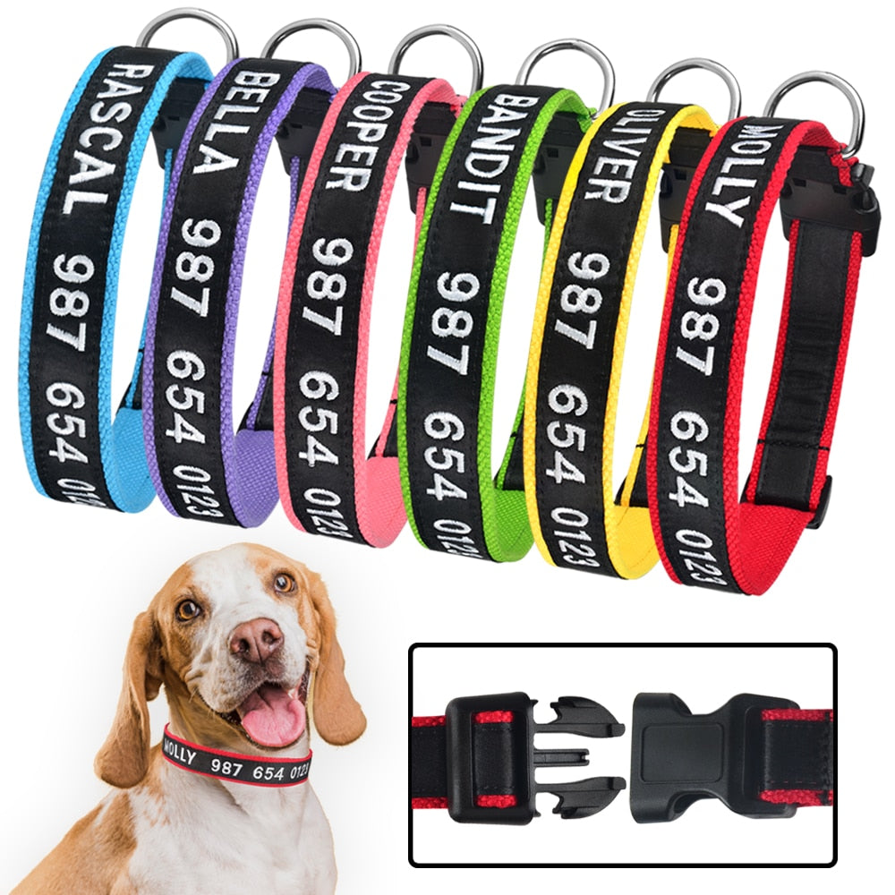 Adjustable Custom Nylon Dog Collar