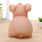 Pig Piggy Bank
