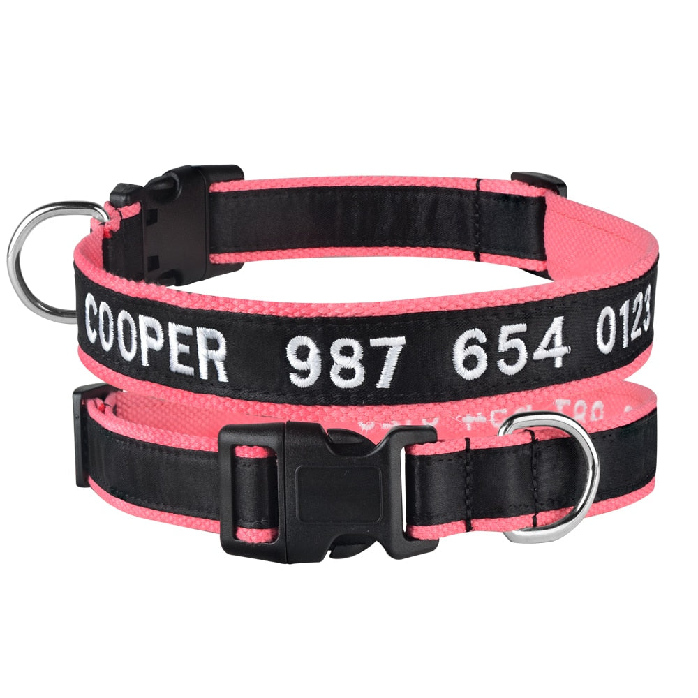 Adjustable Custom Nylon Dog Collar