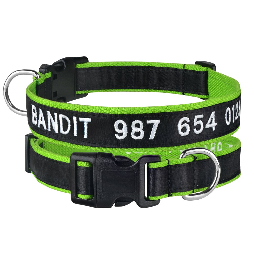 Adjustable Custom Nylon Dog Collar