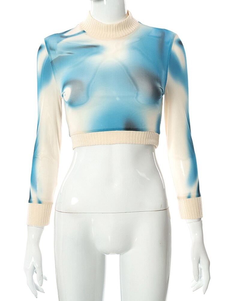 Mesh Long Sleeve Crop Top