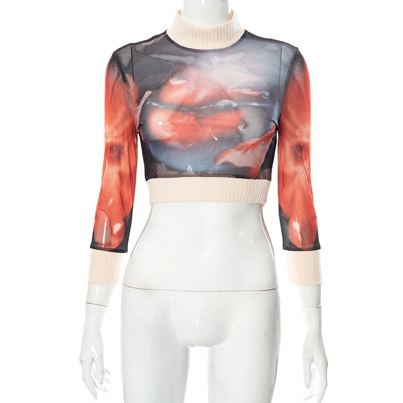 Mesh Long Sleeve Crop Top