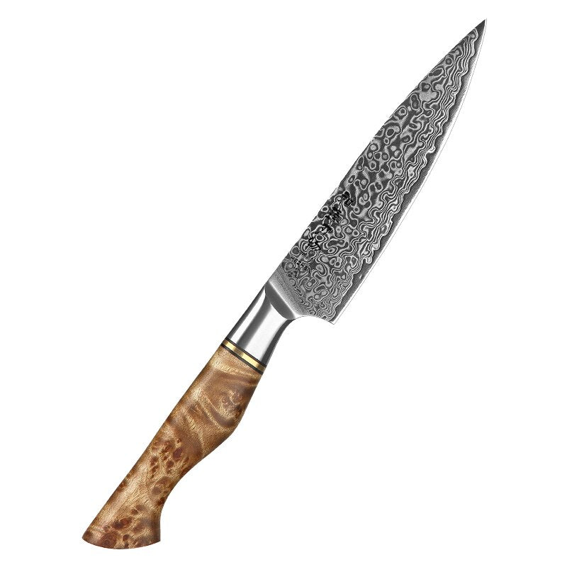 Kitchen Damascus Steel Knife Set