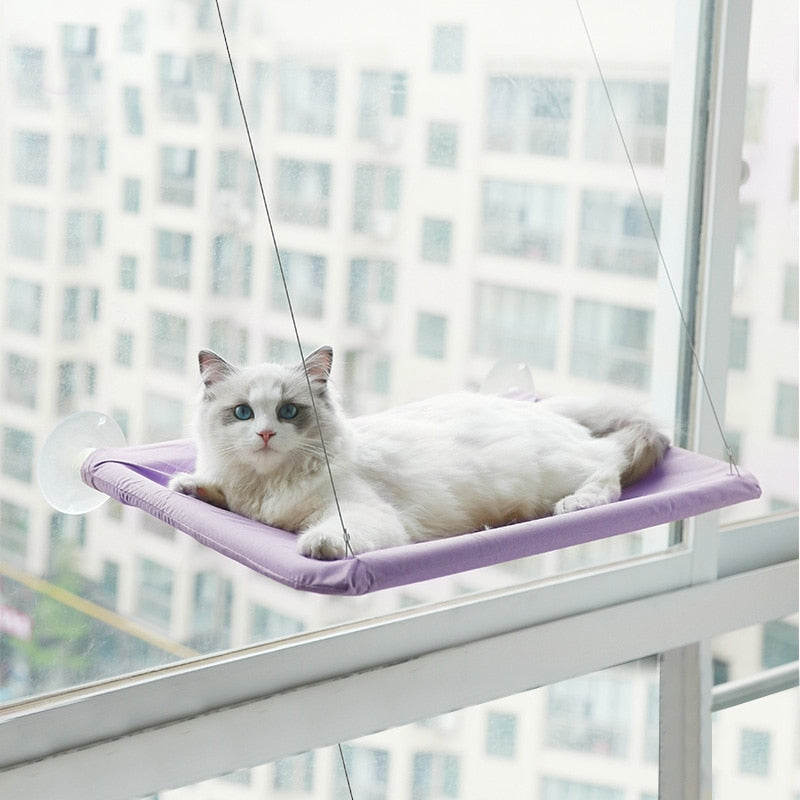 Cute Pet Hanging Beds