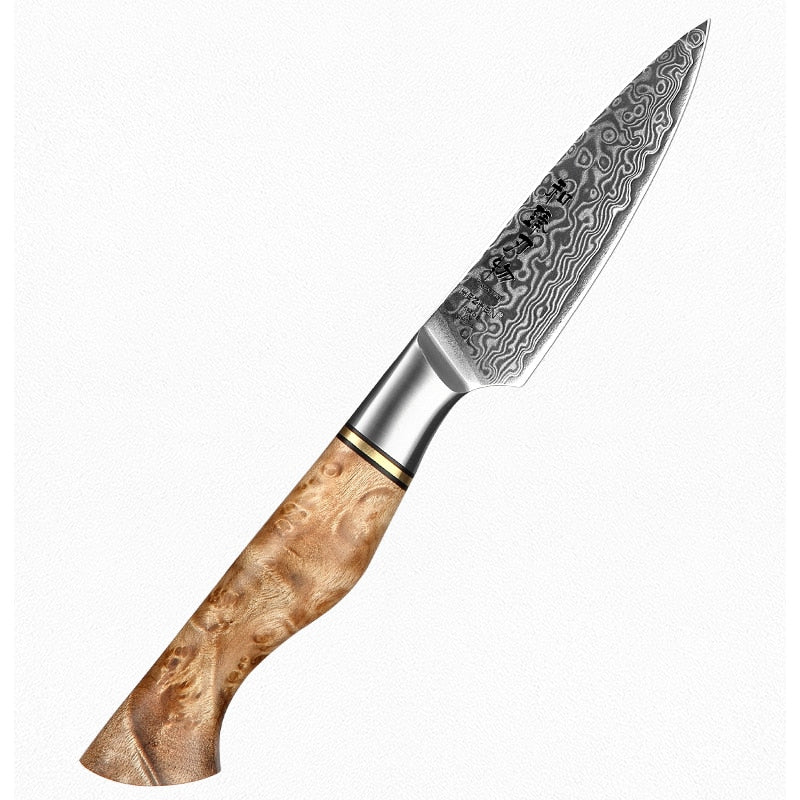 Kitchen Damascus Steel Knife Set